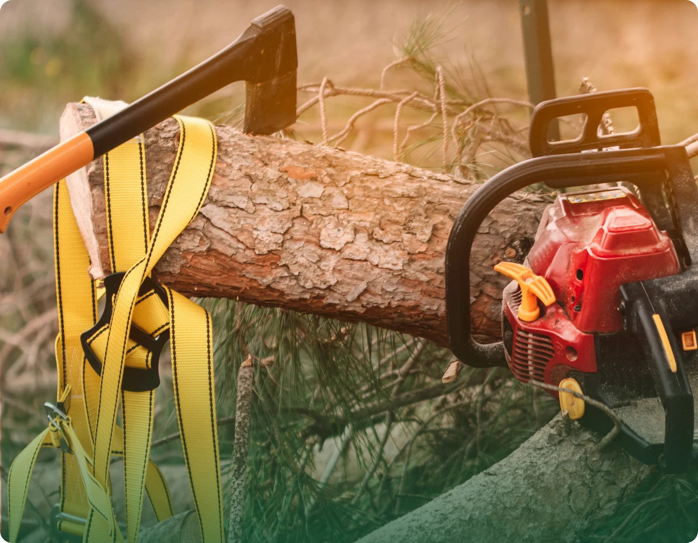 Emergency tree removal