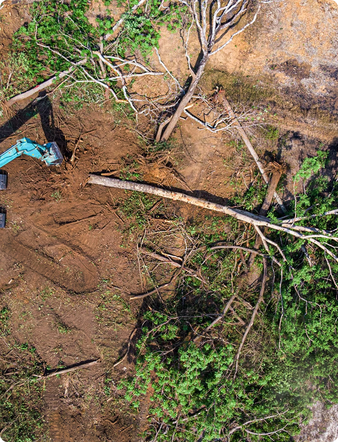 Land Clearing