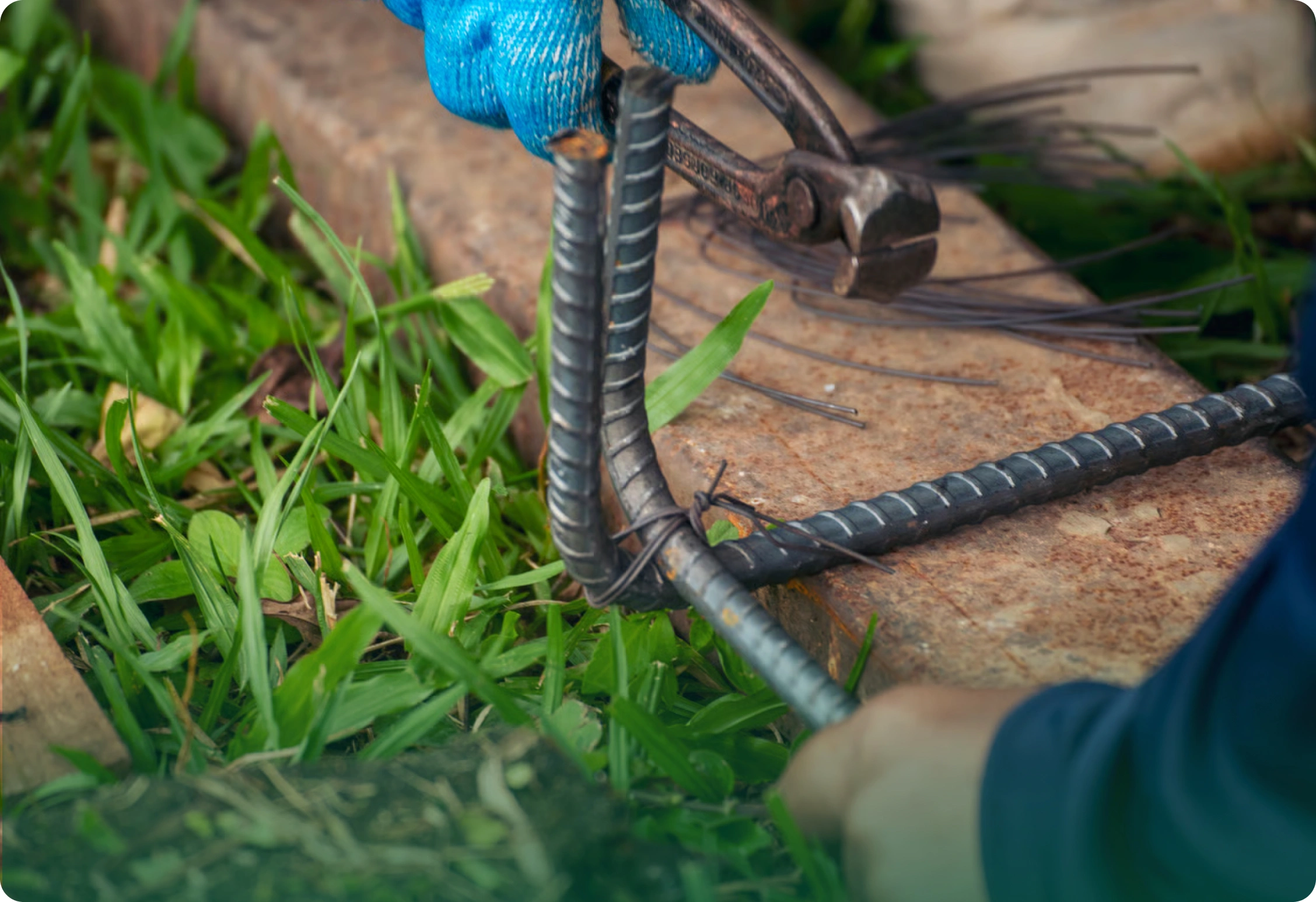 Root chasing & removal