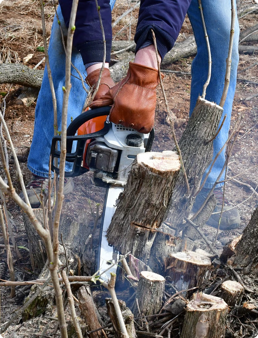 The proof is in the yard - Stump Grinding