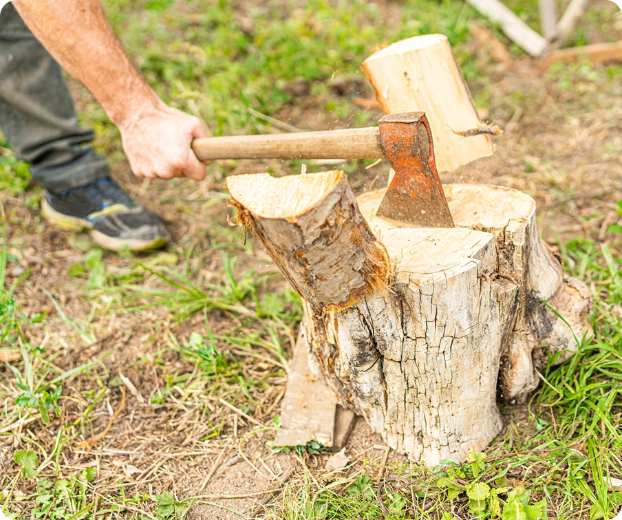 What stump removal with us looks like