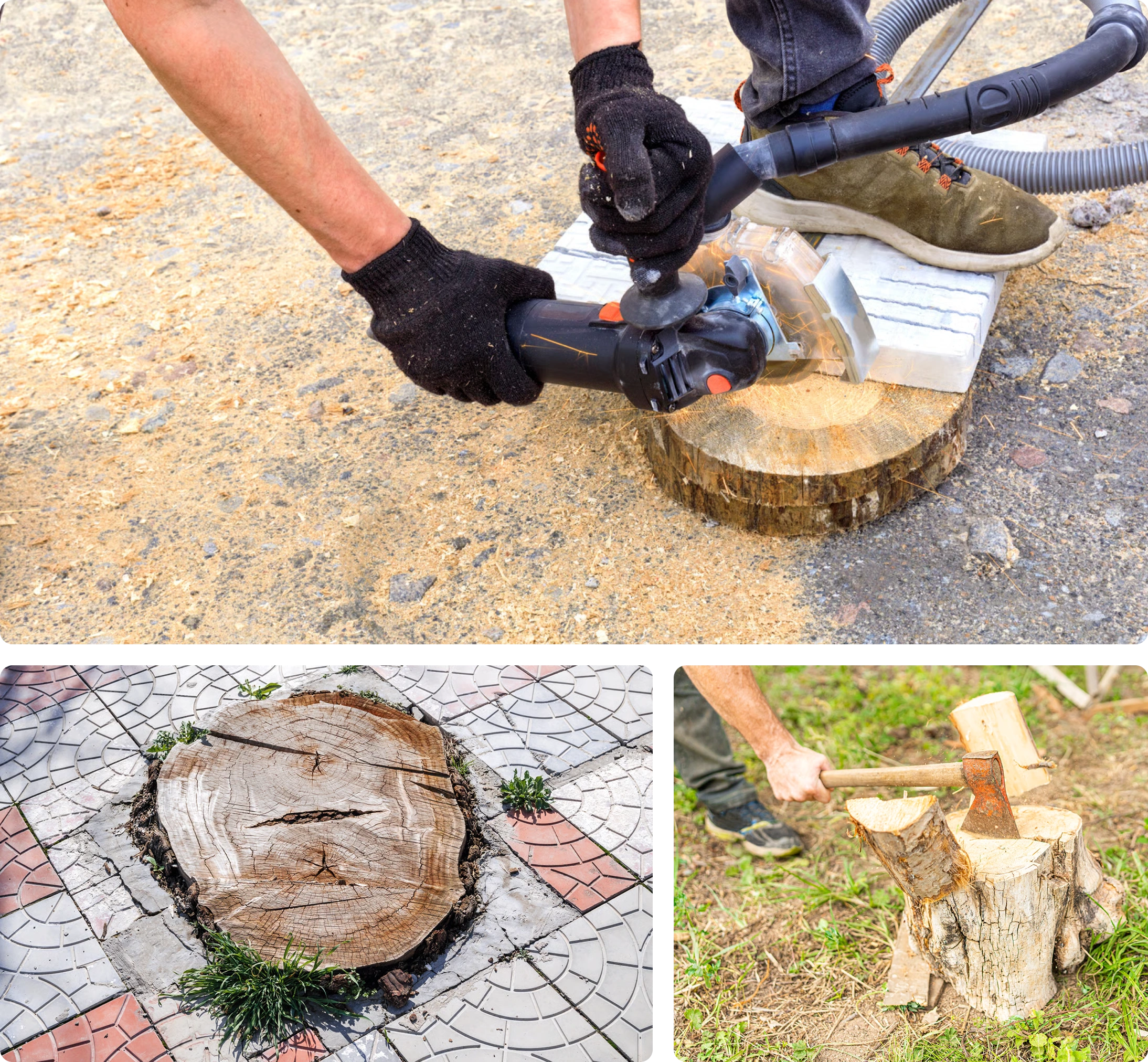 What stump removal with us looks like
