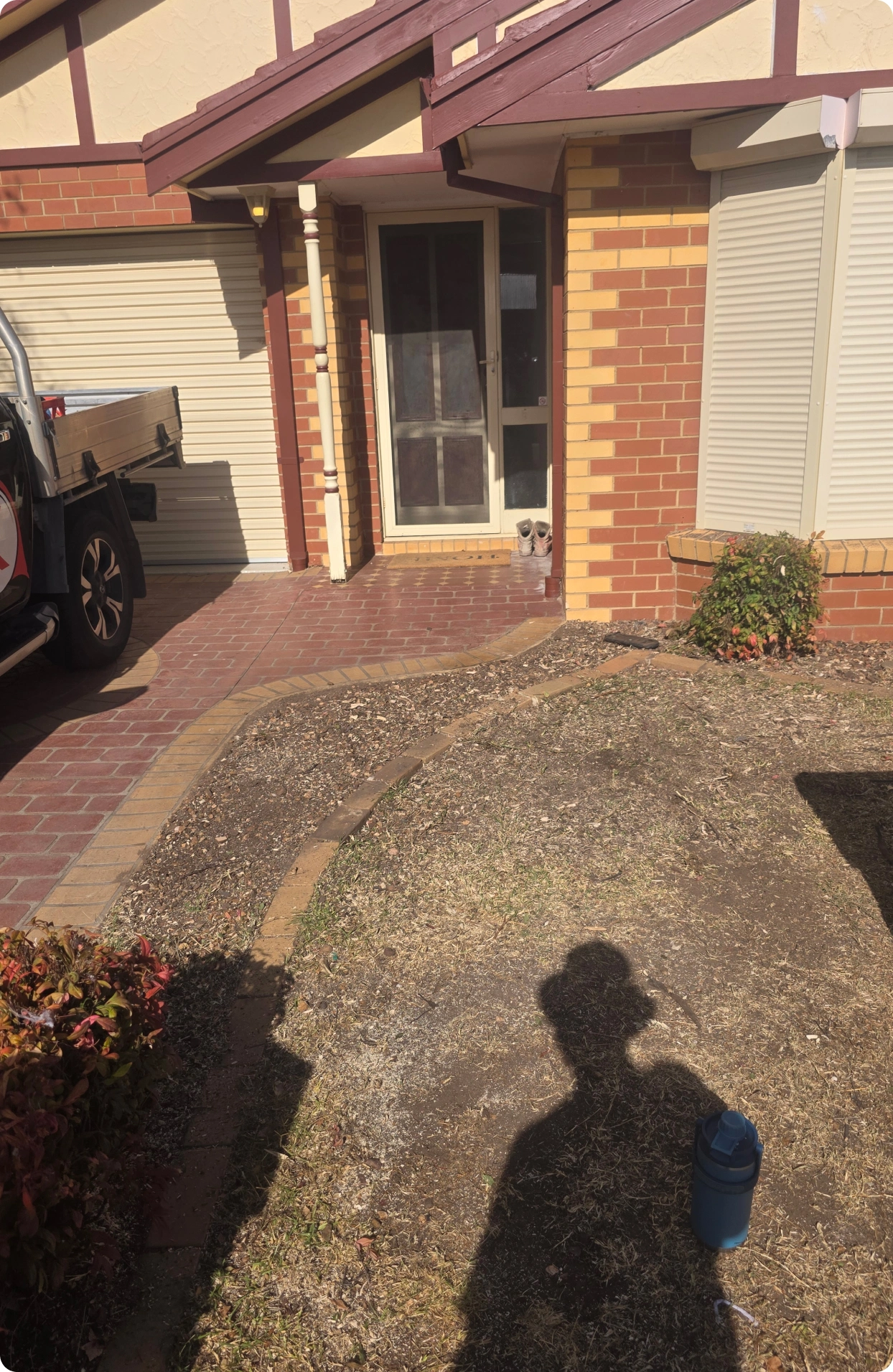 What tree removal with us looks like