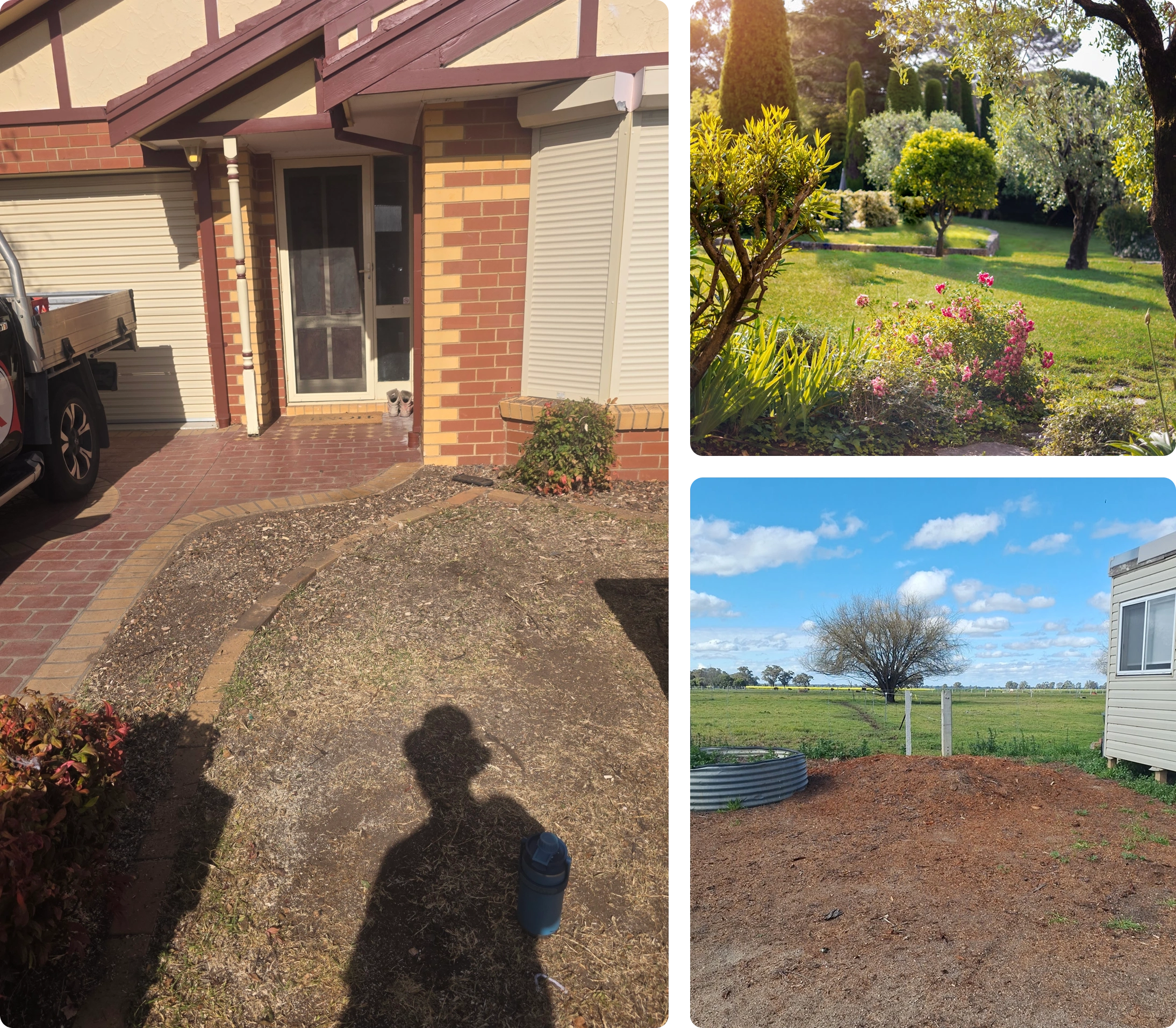 What tree removal with us looks like